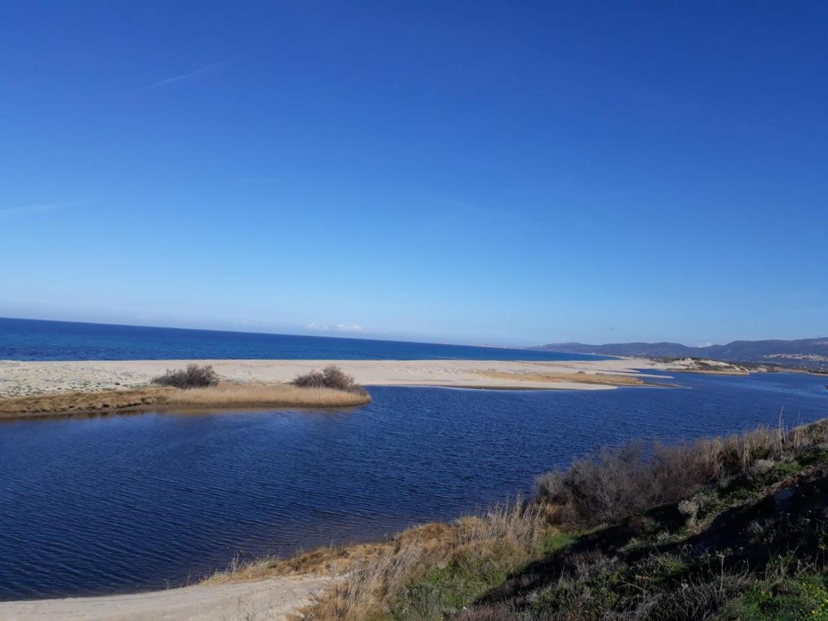 Gli Ulivi Διαμέρισμα Valledoria  Δωμάτιο φωτογραφία